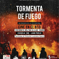 Tormenta de Fuego, incendios en la comarca andina